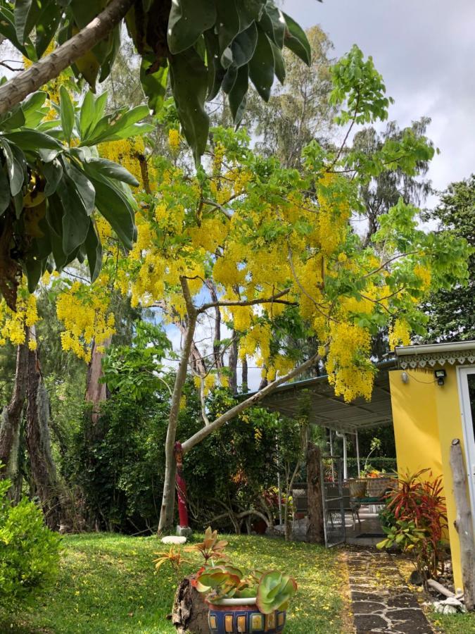 Case Cassia Riambel Buitenkant foto