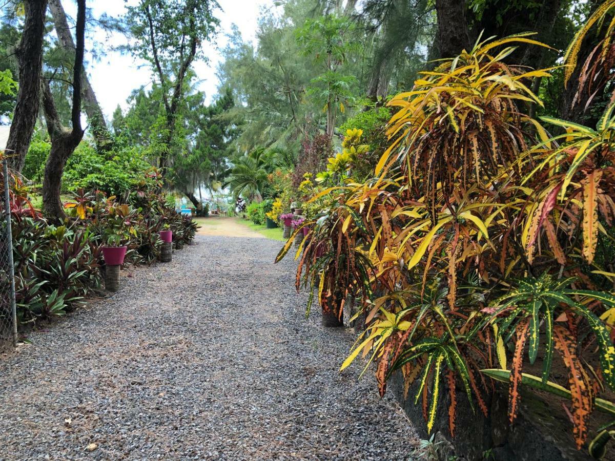 Case Cassia Riambel Buitenkant foto